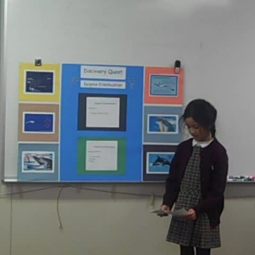 naomi Utama discovery quest