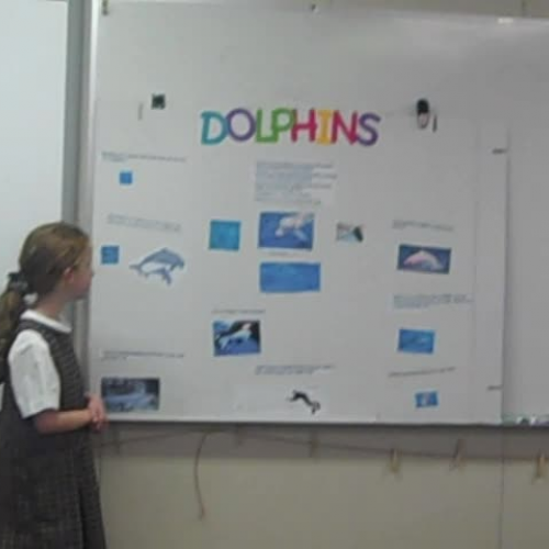 lucia weid discovery quest