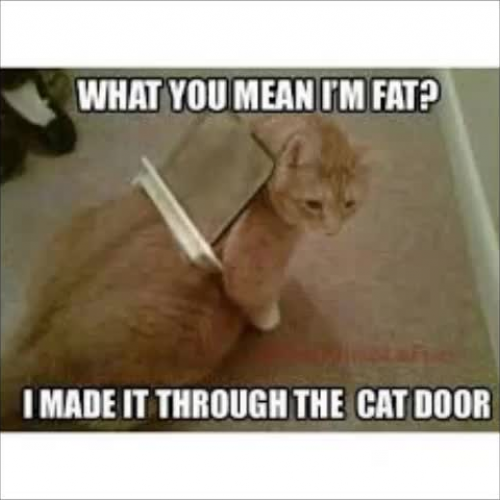 Math ACT POD 11 20 15