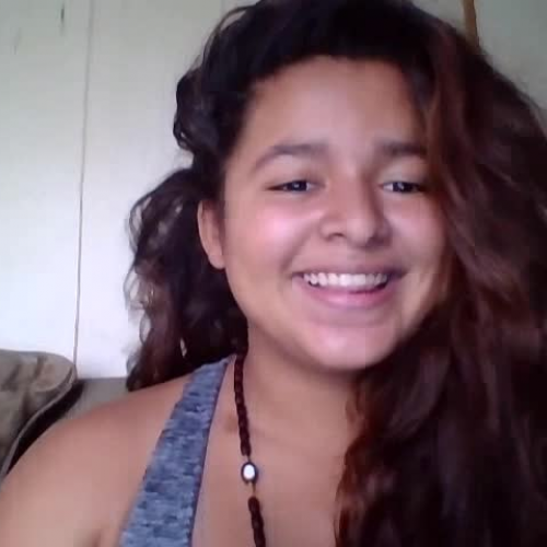 03.02 Describe the Family Visual Presentation