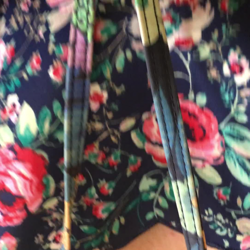 Reading Fluency Assessment