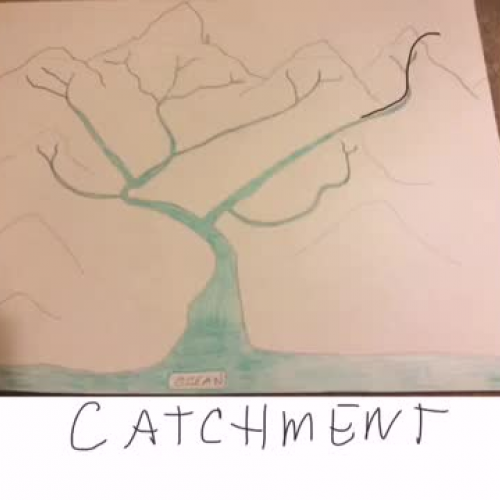 Catchment