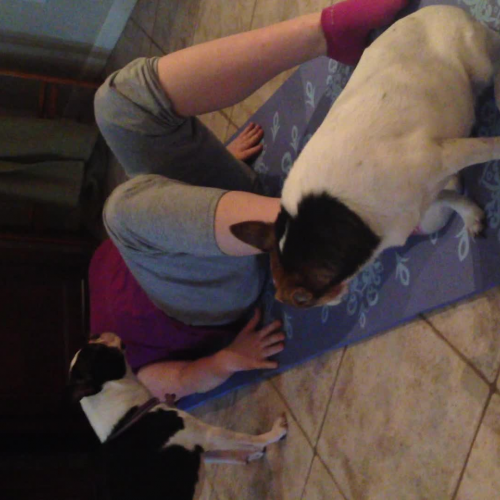 Your Own Health Fitness Video