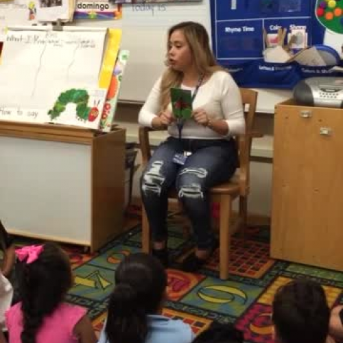 ECH-335 Reading Lesson Plan for Benchmark Assessment.