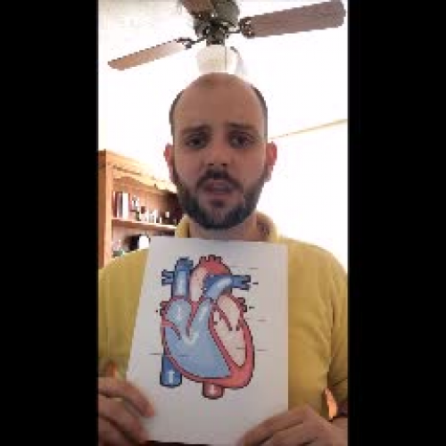 Micro Teaching Presentation #1: Cardiovascular System