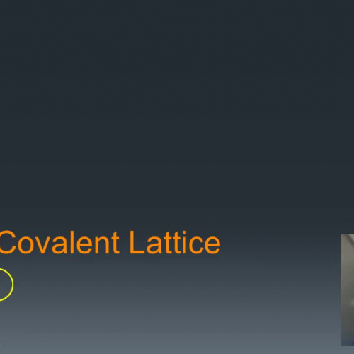 9. Covalent Lattice