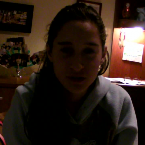 3.02 Describe the family visual presentation