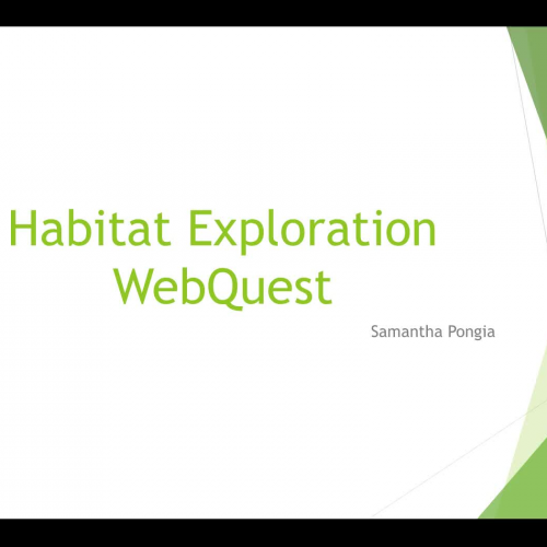 Habitat Exploration WebQuest - Pongia