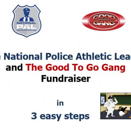 Good to Go Gang Wellness Campaign National PAL Webinar 12-01-15