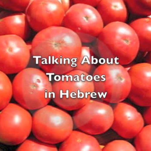 How to say Tomatoes in Hebrew