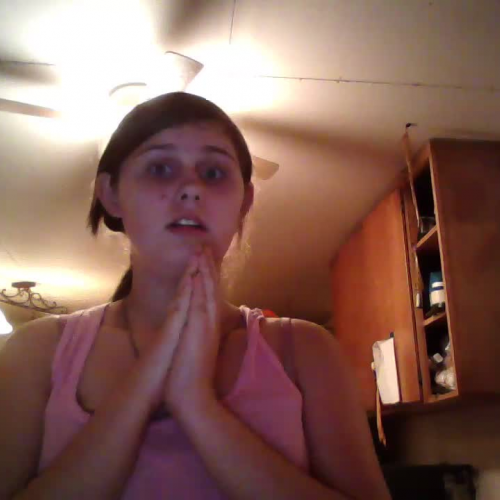 3.02 Describe the Family Visual Presentation