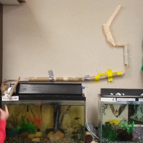 Bryleigh's Group - Energy Transformations