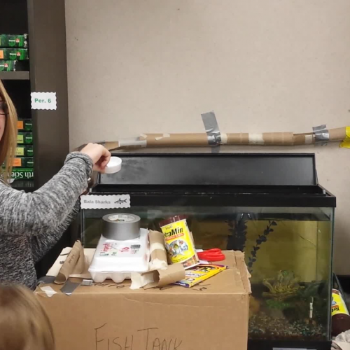 Bryleigh's Group - Blooper - Energy Transformations