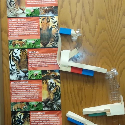 Jordan's Group - Energy Transformations