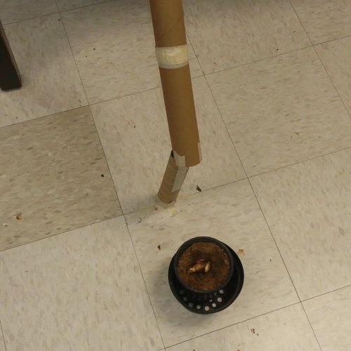 Addai's Group - Energy Transformations