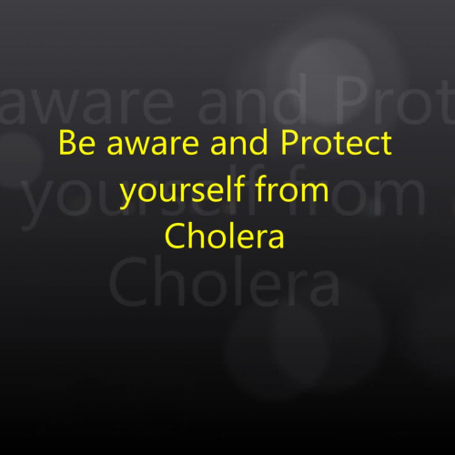 PSHA Cholera by Aukeidra Haynes