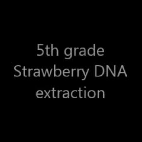 Strawberry DNA