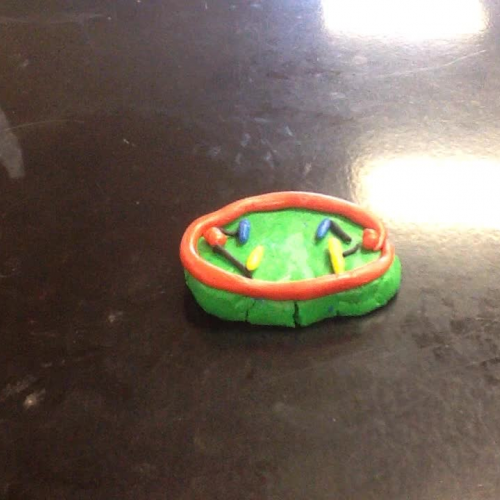 Mitosis clay-mation