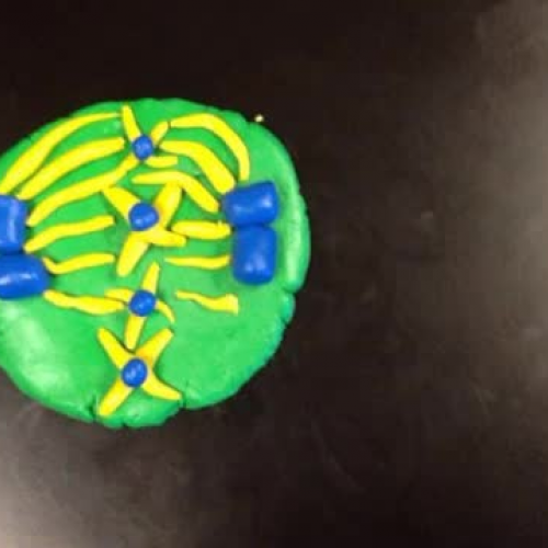 Mitosis clay-mation