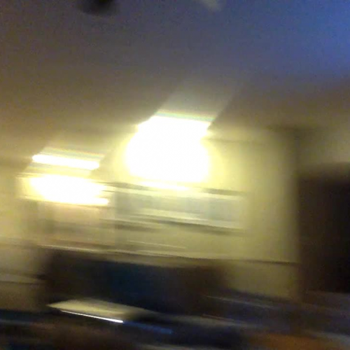 Speech 5 Persuasive Action Speech