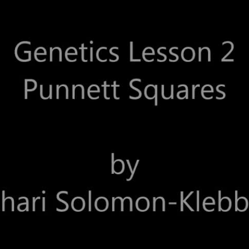 Genetics Lesson 2 Punnett Squares  in ASL Solomon-Klebba