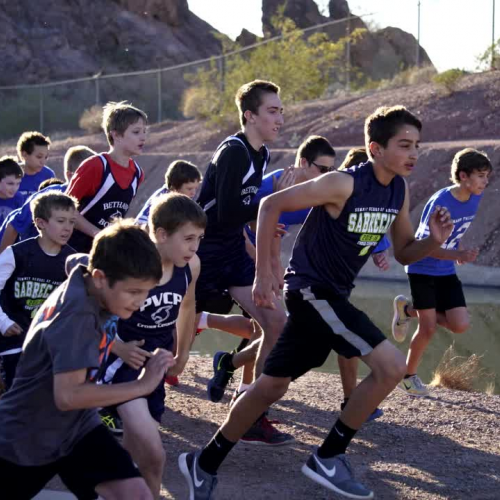 Fall and Winter Sports 2015