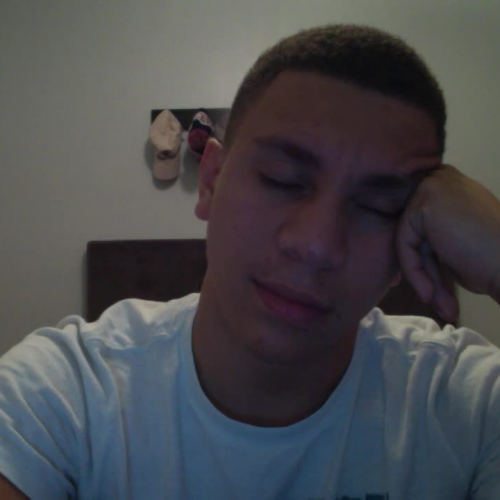 3.02 describing family visual assignment