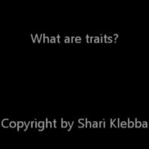What is a trait  in ASL Shari Solomon-Klebba