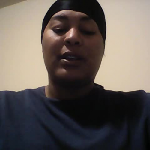 portfolio project reflection