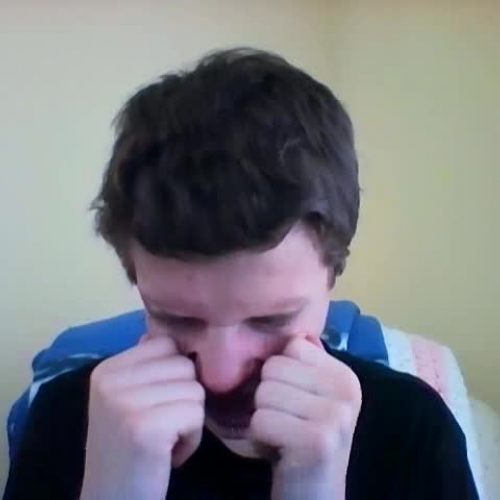 3.02 Describe the Family Visual Presentation