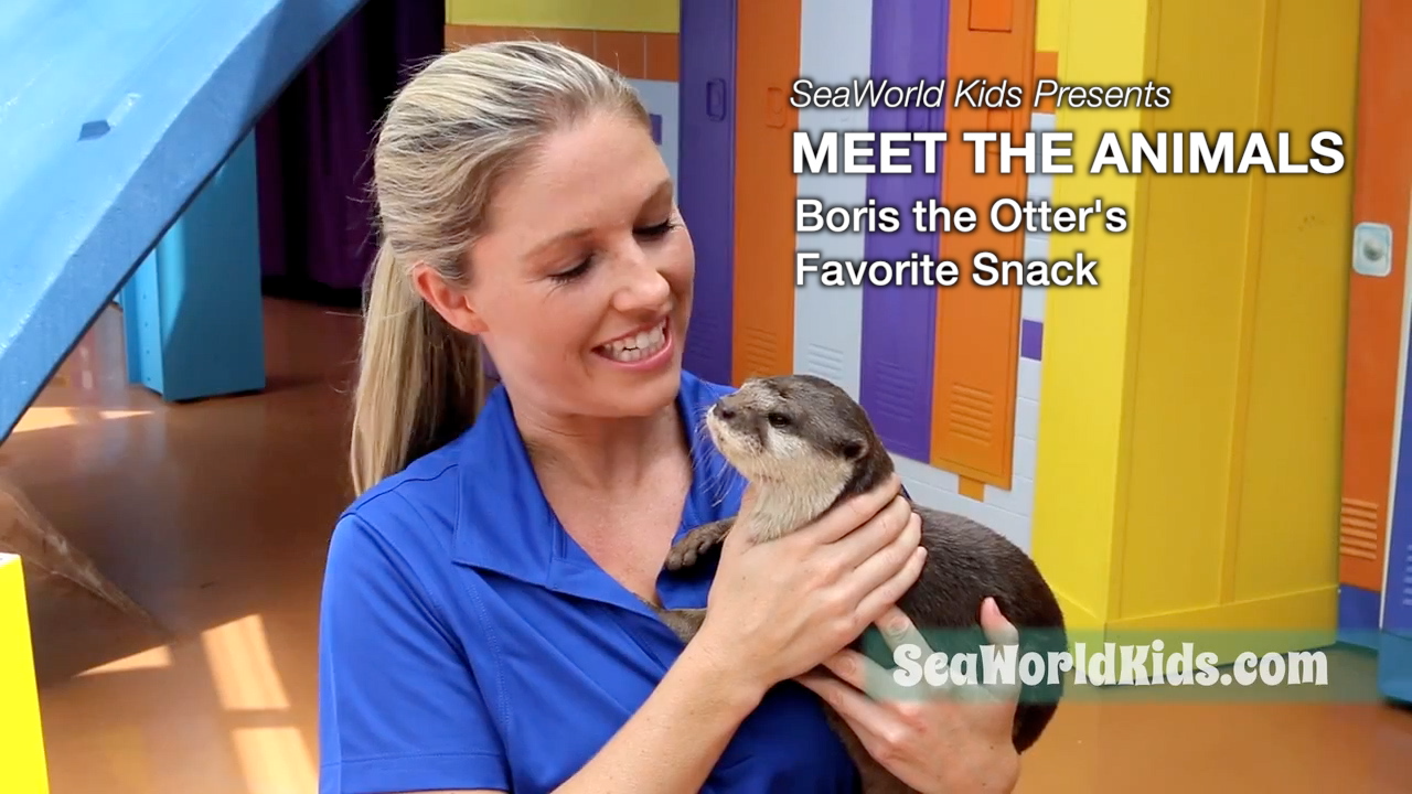 SeaWorld Kids—Meet the Animals—Boris the Otter’s Favorite Snack