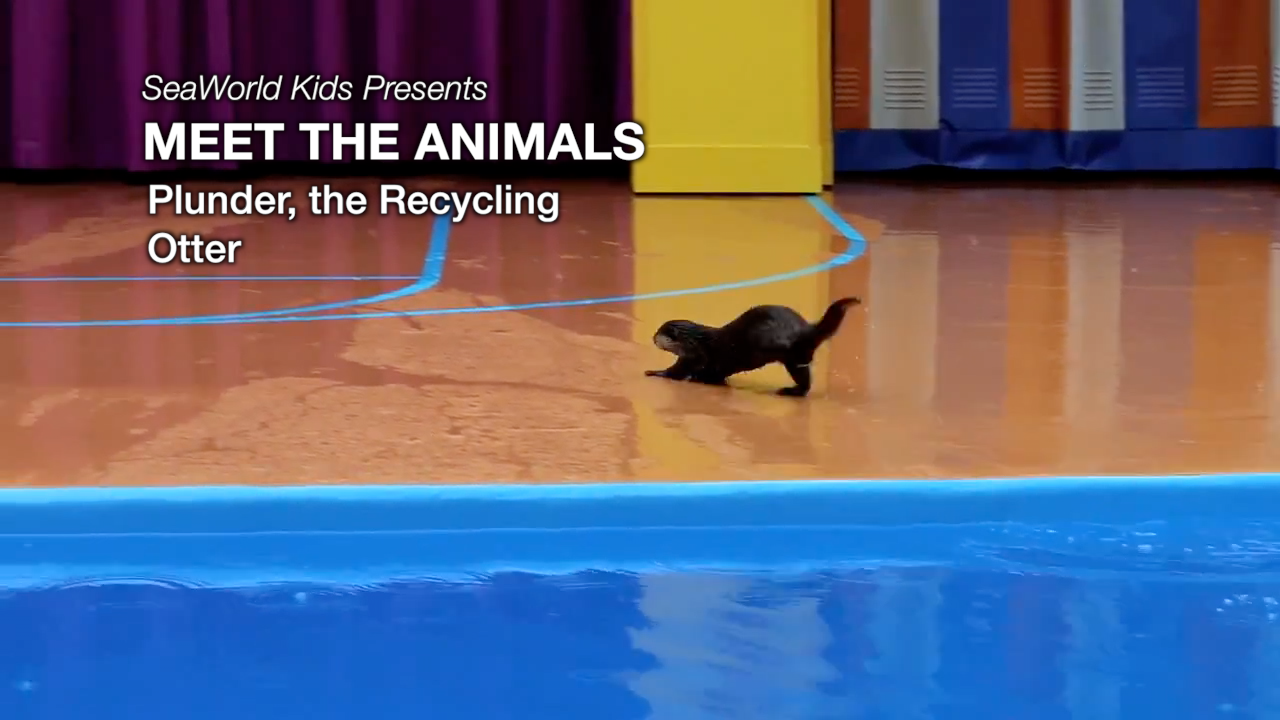 SeaWorld Kids—Meet the Animals—Plunder, the Recycling Otter