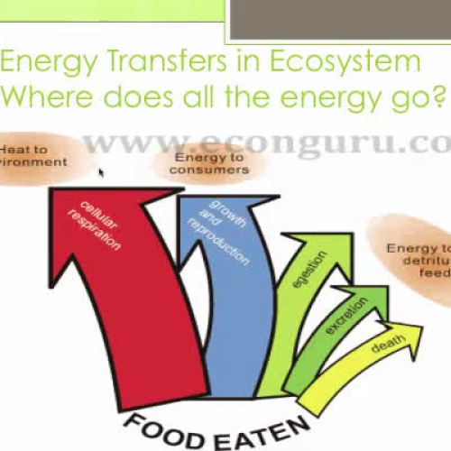 2.5 # 2 Ecosystem Functions