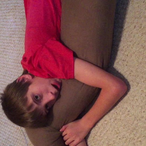 3.02 Describe the Family Visual Presentation - Sleepy - Tener Sueño