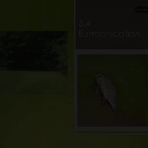 5.4 Eutrophication 