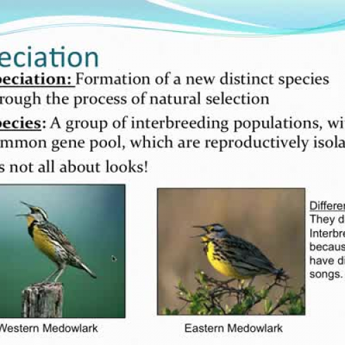 4.1  # 2 Biodiversity in Ecosystems 