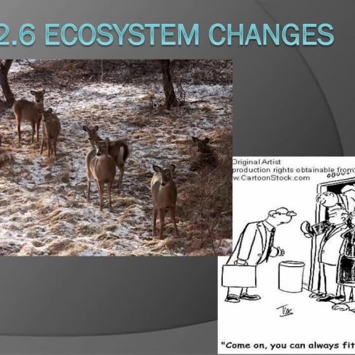 2.6 # 1 Ecosystem Changes