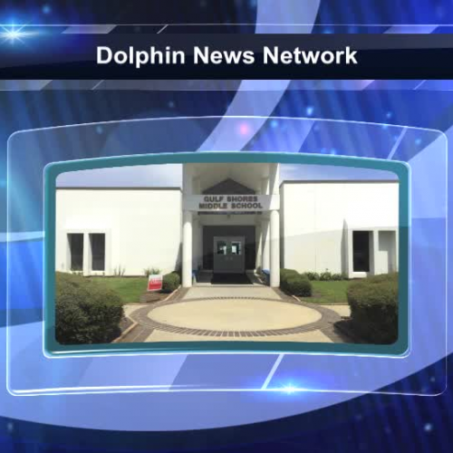 Dolphin News Network 1 12 16