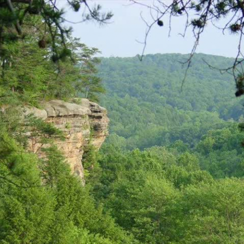 Atherton: The House of Power