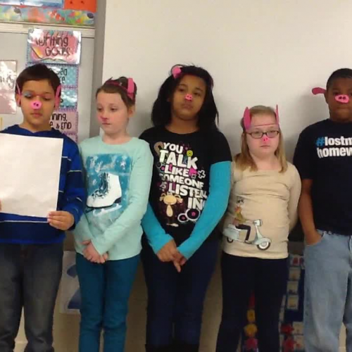 Persuasive Writing - Pig