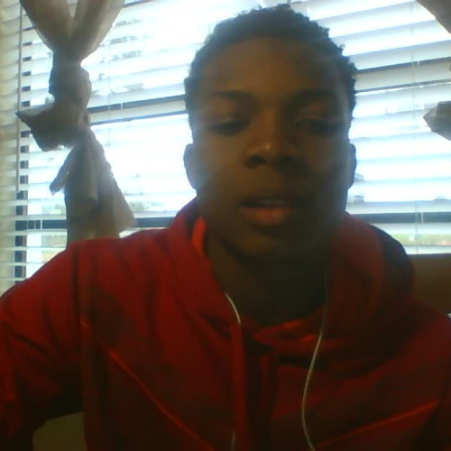 Spanish 3.02 Describe the family visual presentation