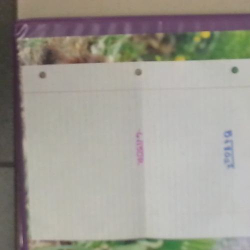 Simplifying  Square Roots With Variables