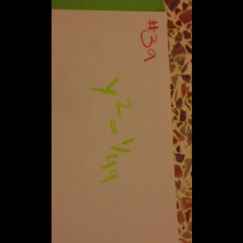 Rylee & Winnie's Math Tutorial Video