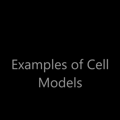 Examples of Cell Models - Solomon-Klebba