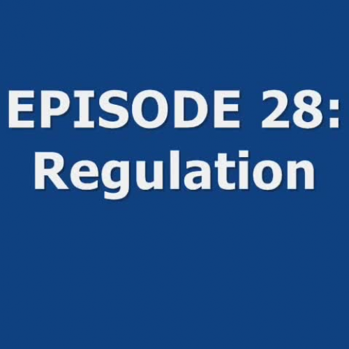 Episode 28: Regulation