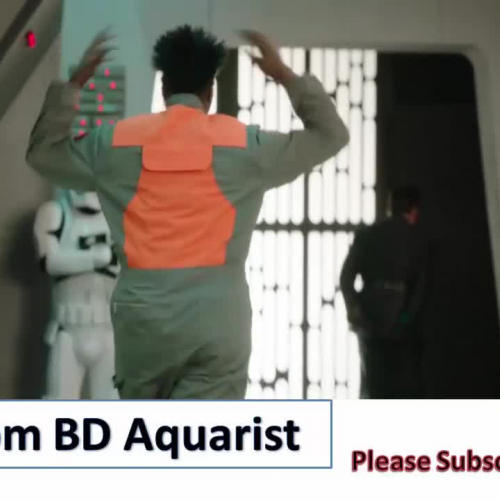 Undercover Boss: Starkiller Base Behind The Scenes -BD Aquarist