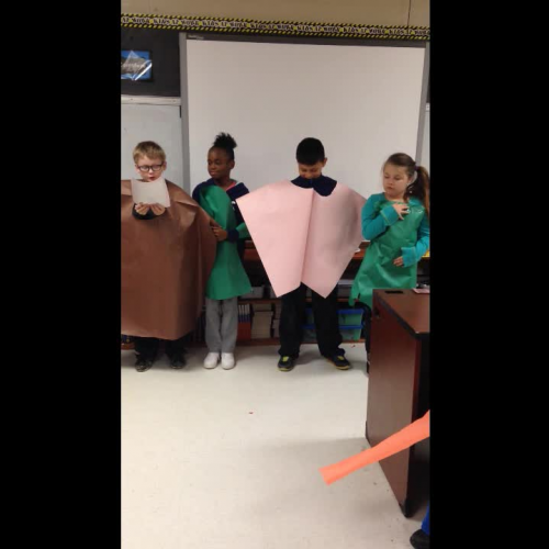 Ms. Birrer's Class Don Cerdo 2016