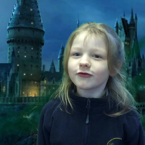 St Winnow Hogwarts green screening