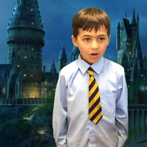 St Winnow Hogwarts green screening