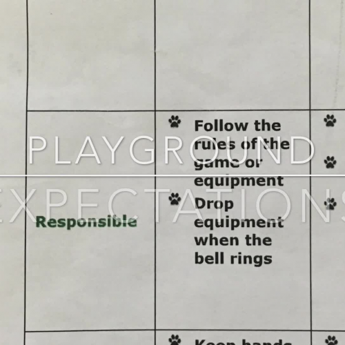 PBIS Playground Expectations 2015-16
